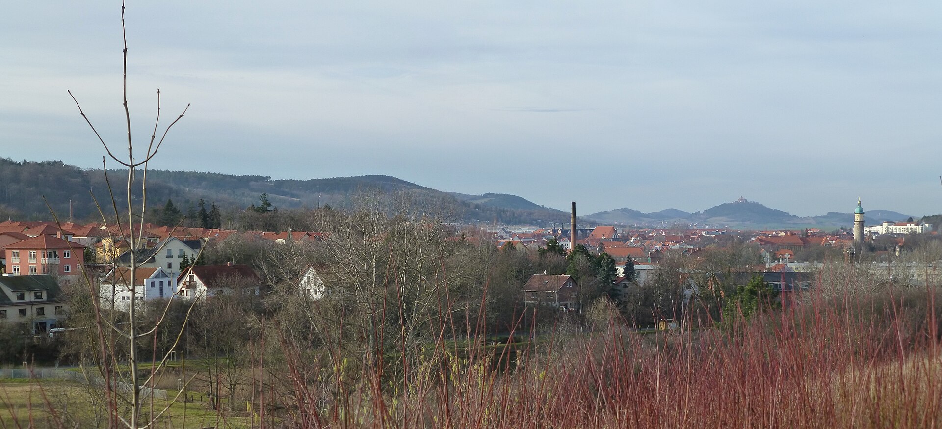 Panoramablick über die Dächer von Arnstadt, mit bewaldeten Höhen und der Wachsenburg im Hintergrund.